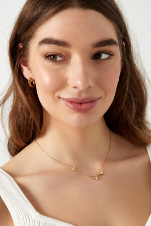 Collar clásico con tres charms de mariposa - oro  h5 Imagen4